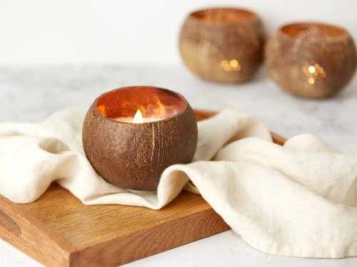 Jungle Culture® Luxurious Coconut Shell Scented Candle