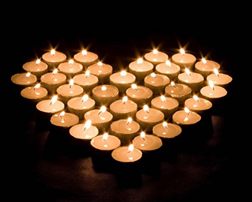 Luxury Pack of 50 Unscented Tea Lights