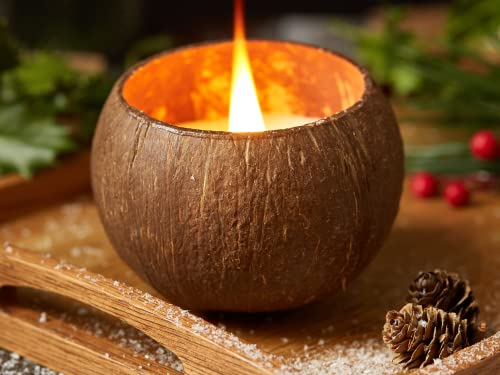 Jungle Culture® Luxurious Coconut Shell Scented Candle