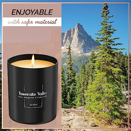 Yosemite Valley Luxury Pine, Bergamot & Cedarwood Candle