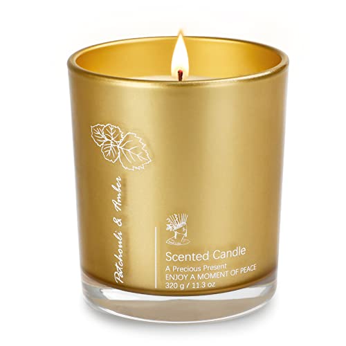Luxury Scented Aromatherapy Candles for Women, 11.3oz