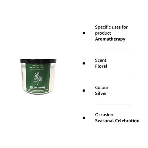Luxury Aromatherapy Eucalyptus Spearmint 3-Wick Candle
