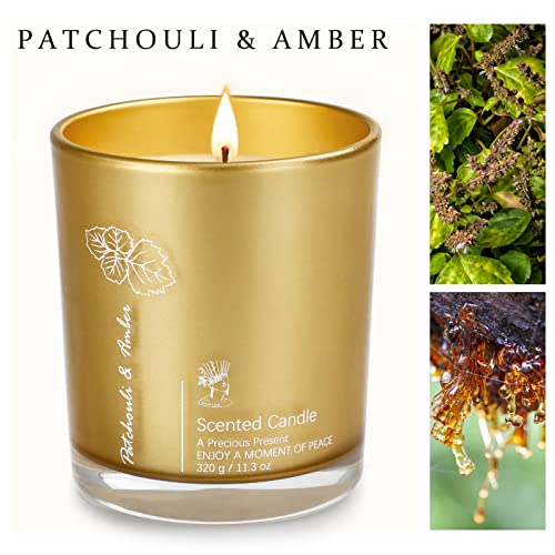Luxury Scented Aromatherapy Candles for Women, 11.3oz