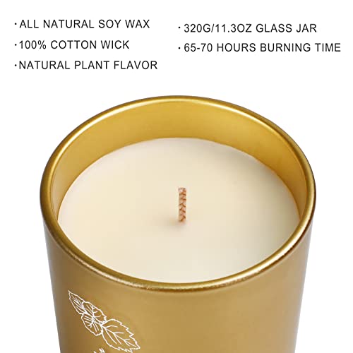 Luxury Scented Aromatherapy Candles for Women, 11.3oz