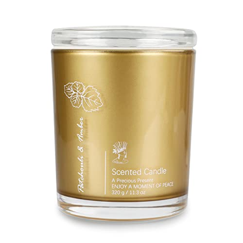 Luxury Scented Aromatherapy Candles for Women, 11.3oz