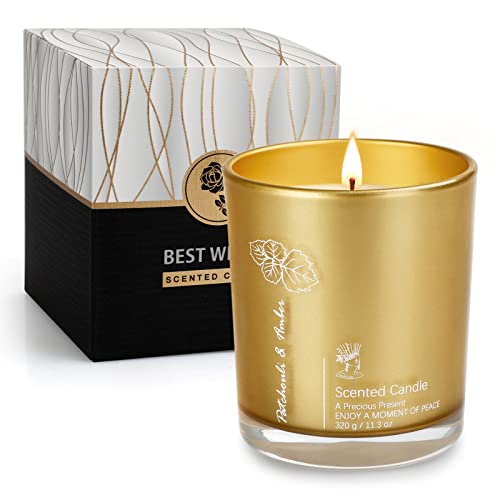 Luxury Scented Aromatherapy Candles for Women, 11.3oz