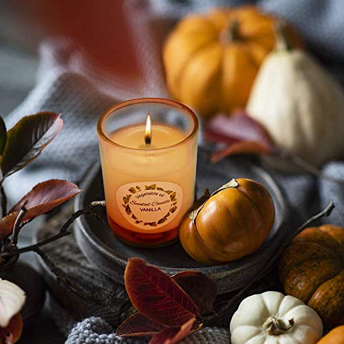 Arosky 12 Pack Scented Votive Candles Set Small Soy Wax Candles Bulk with 6 Fragrances - Rose, Lemon, Lavender, Vanilla, Jasmine and Spring