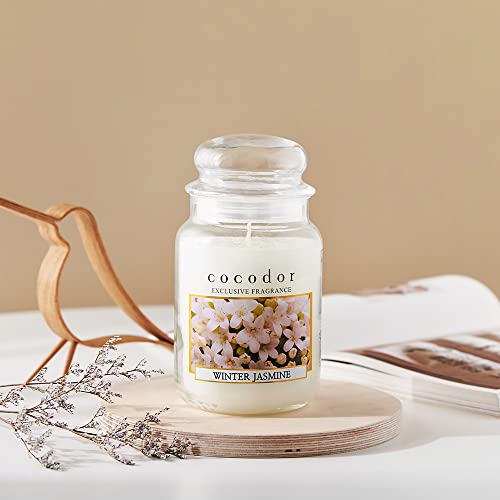 Luxurious Sicilian Citrus Scented Jar Candle