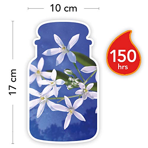 Luxurious Midnight Jasmine Candle - Up to 150 Hours