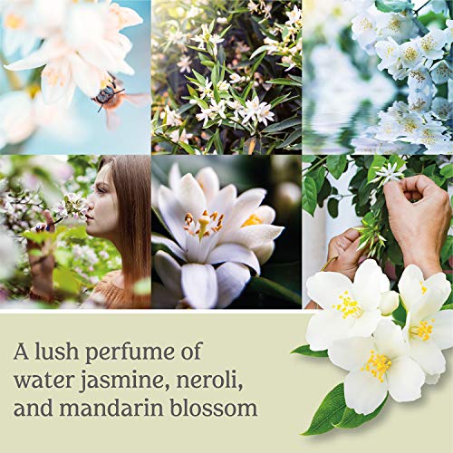 Luxurious Midnight Jasmine Candle - Up to 150 Hours