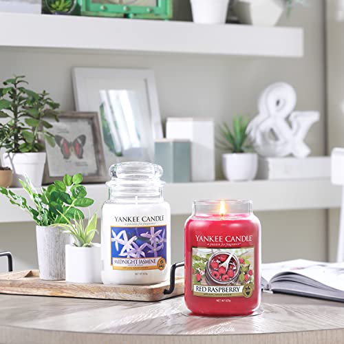 Luxurious Midnight Jasmine Candle - Up to 150 Hours