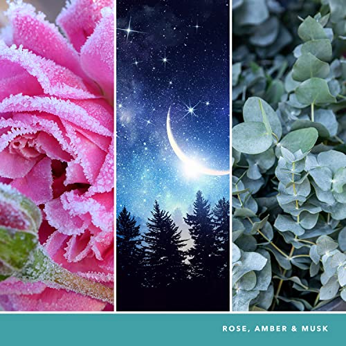 Winter Night Stars Scented Candles - Snow Globe Collection