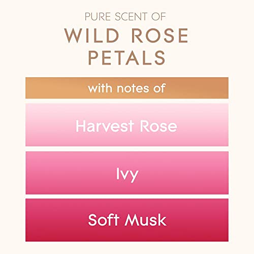 Luxury Wild Rose Petals Candle - 85 Hour Burn Time