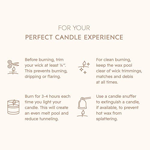 Luxury Wild Rose Petals Candle - 85 Hour Burn Time