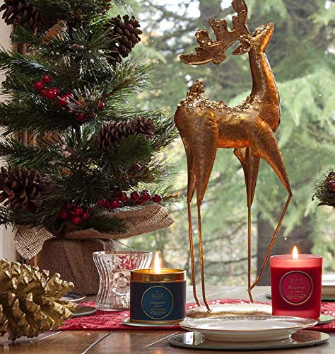 Shearer Candles Large Luxury Cinnamon Spice Tin Candle