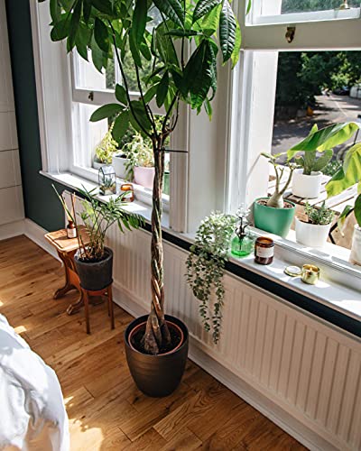 Italian Garden Luxury Scented Candle | Essential Oils