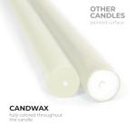 CANDWAX 8 inch Taper Candles Set of 12 - Dripless Taper Candles and Unscented Candlesticks - Perfect as Christmas Candles and Household Candles - Ivory Candles