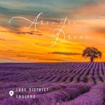 Luxury Sleep Candle Gift Set - Lavender Chamomile