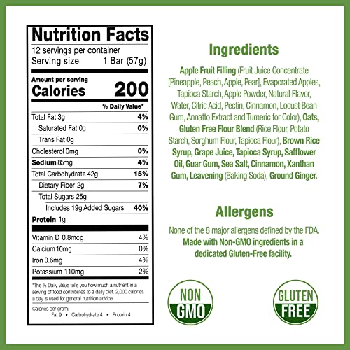 Betty Lou's Cinnamon Apple Jumbo Fruit Bars 12-Pack