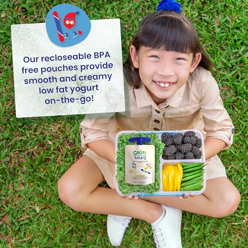 GoGo Squeez YogurtZ Strawberry Banana Snack Pack