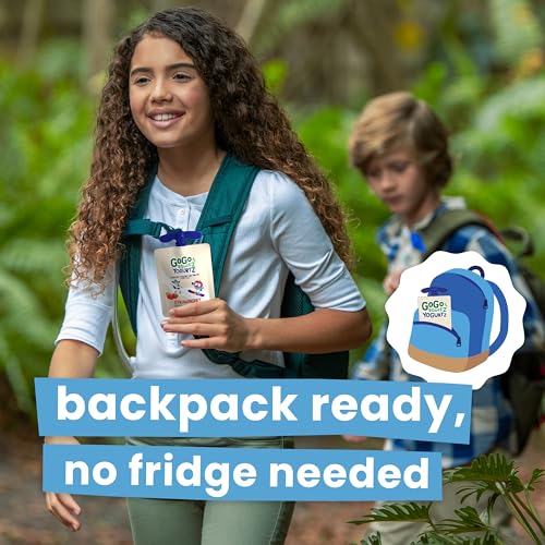 GoGo Squeez YogurtZ Strawberry Banana Snack Pack