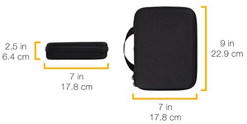 Amazon Basics Small Black GoPro Carrying Case