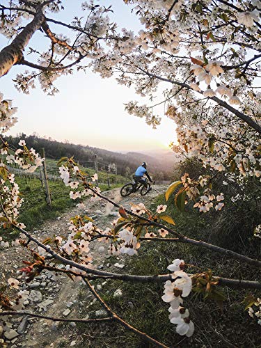 GoPro HERO9 Black - Waterproof Action Camera