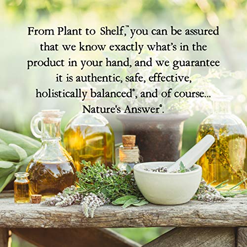 Garlic Extract 1 FL Oz  by Nature's Answer