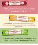 Nag Champa Incense Sticks Variety Pack (140+ Sticks)