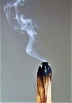 Palo Santo Smudging Sticks – Authentic High Resin
