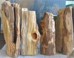 Palo Santo Smudging Sticks – Authentic High Resin