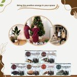 Woody Incense Cone Variety Pack - 60 Cones