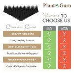 Dragons Blood Charcoal Incense Cones - 500 Pack