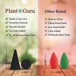 Dragons Blood Charcoal Incense Cones - 500 Pack