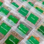 Herbs Kit for Witchcraft and Magic Rituals