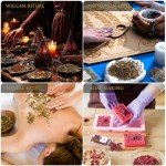 40 Pack Dried Herbs for Witchcraft and Rituals