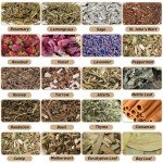 Witchcraft Herbs Kit: 20 Dried Herbs & Flowers