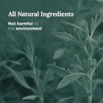 MAGNIFICENT 101 Pure Sage Smudge Set of 3 Candles