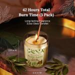 MAGNIFICENT 101 Pure Sage Smudge Set of 3 Candles