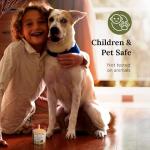 MAGNIFICENT 101 Pure Sage Smudge Set of 3 Candles