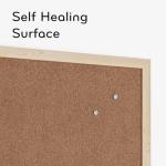 Cork Bulletin Board with Light Birch Frame