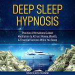Hypnosis for Abundance: Attract Wealth While Sleeping
