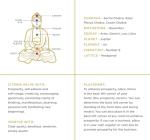 Citrine Gemstone Bracelet for Money Luck & Positivity