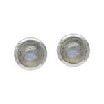 Labradorite White Gold Plated Stud Earrings