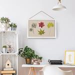 Vision Board Cork Board Set with Pushpins