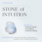 Gemini Moonstone Necklace in Silver and Gold