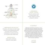 Labradorite Necklace for Abundance and Healing