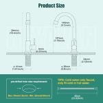 Heyalan Brushed Nickel Kitchen Faucet Cold Water Only 1 Hole Single Handle 360 Degree Swivel Spout Deck Mount High Arc SUS304 Sink Bar Tap Goose Neck with Hose and Longer Thread Pipe