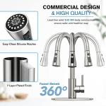 Kitchen Faucets, Kitchen Faucet with Pull Down Sprayer, High Arc Single Handle Kitchen Sink Faucet with Water Lines, Brushed Nickel Kitchen Faucet with Sprayer, RV Sink faucets