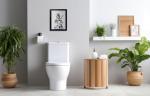 Framed Bathroom Decor Wall Art Wear Crown Frog Toilet Paper Pile - Playful Bathroom wall decor Animal Art black and white canvas print can be hung directly - Frame, 8 "x 10"